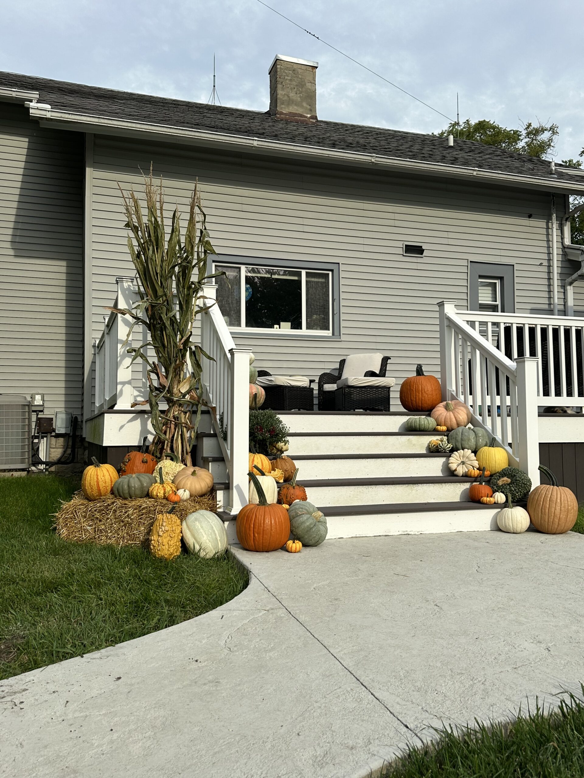 Home img 1687